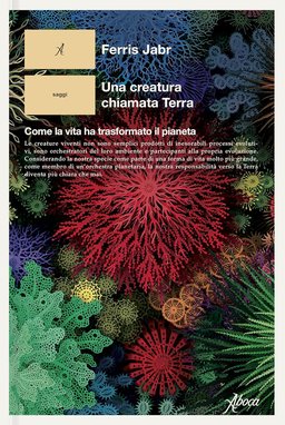 25_02_91x4ON0qCDL._SL1500_