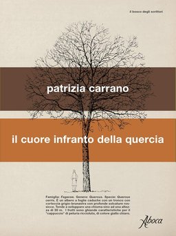 25_04_81QA2v5MJfL._SL1500_