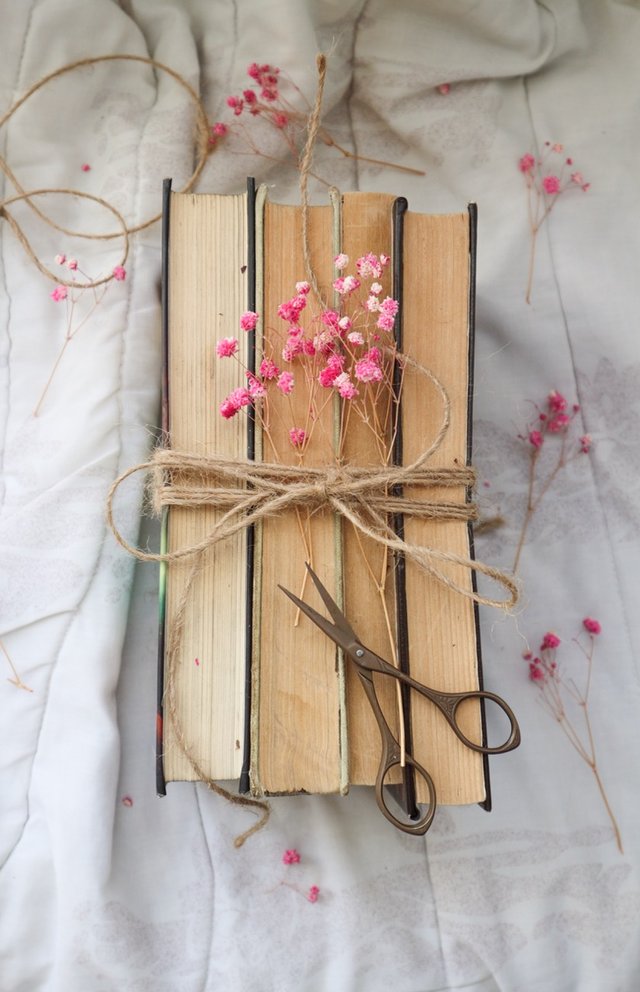 old-vintage-books-light-background - dimensioni grandi